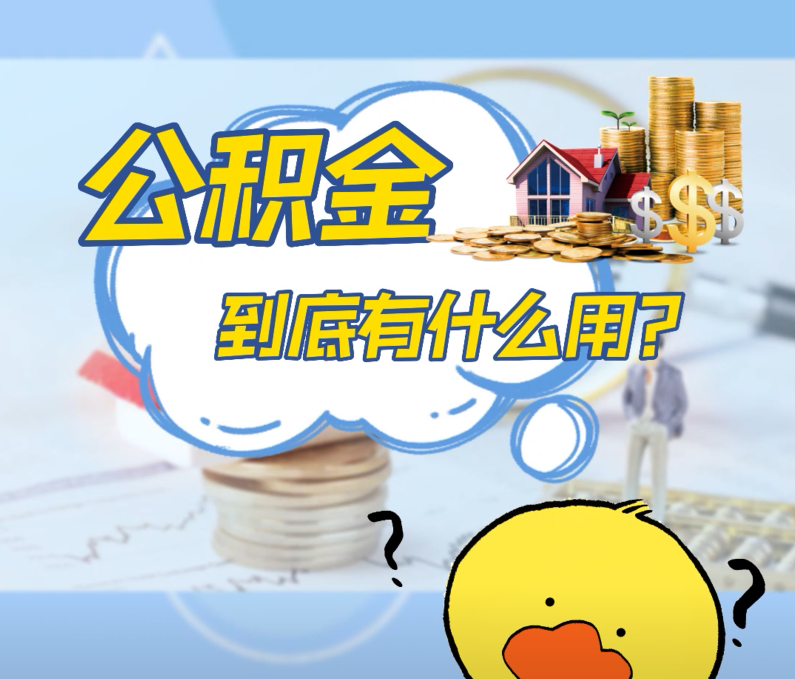 视频图片